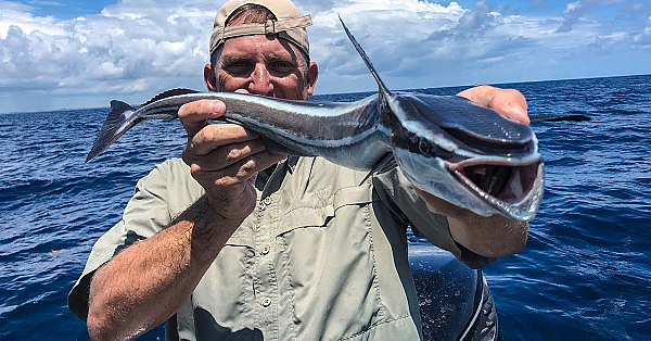 Ramora {catch Clean Cook} The Results Will Shock You!