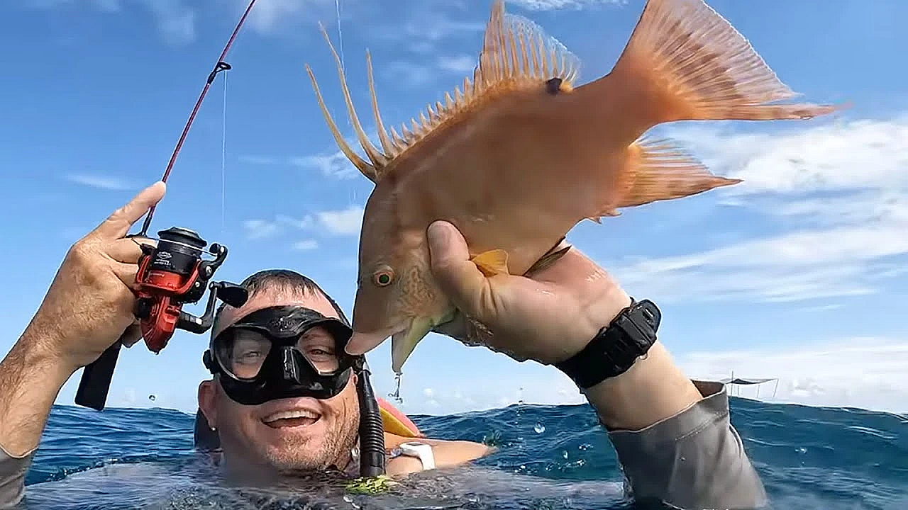 Hog Dogging!! Fishing Underwater With Live Crabs! I Can’t Believe This Worked!