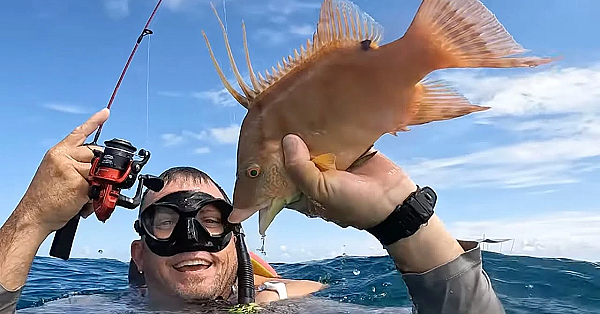 Hog Dogging!! Fishing Underwater With Live Crabs! I Can’t Believe This Worked!