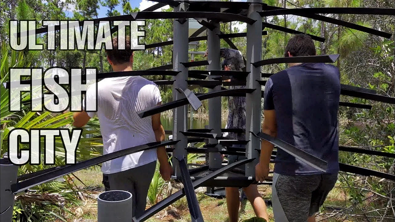 How To Build The Ultimate Fish City!!!