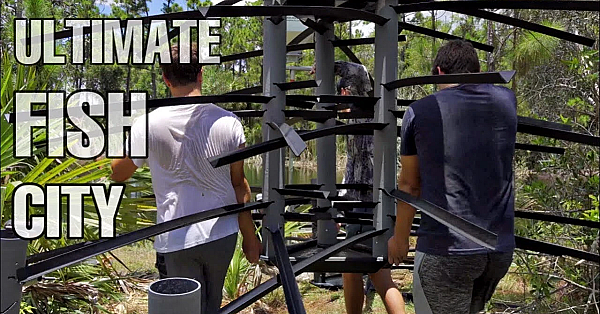 How To Build The Ultimate Fish City!!!