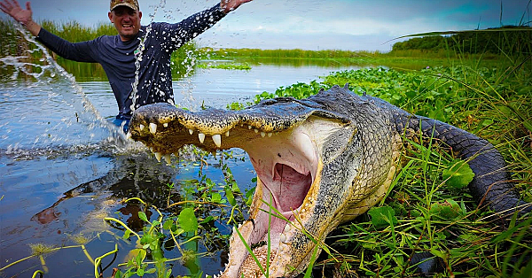 Giant Alligator Terrorizes Local Fisherman!!! {catch Clean Cook} With Guga Foods!!!
