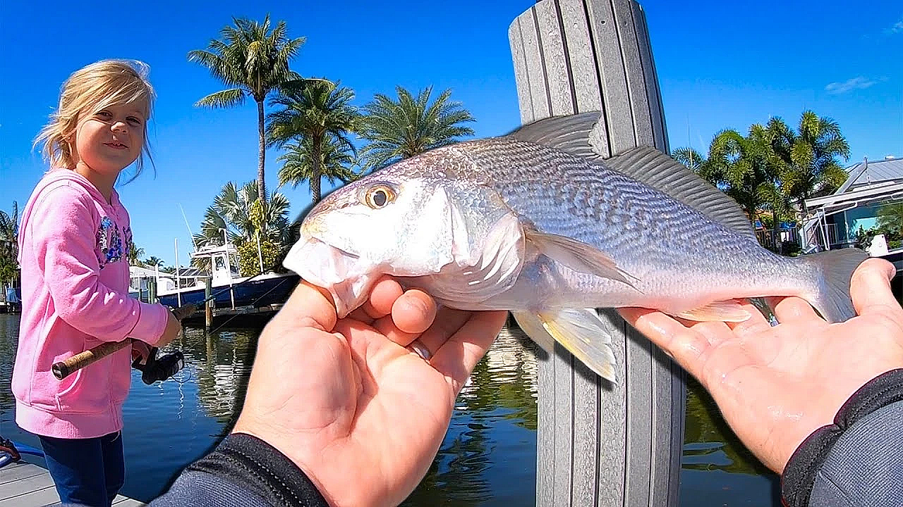 Fishing Of A Dock With My Daughters!!! {catch Clean Cook} Puffers And Croakers