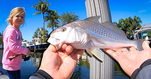 Fishing Of A Dock With My Daughters!!! {catch Clean Cook} Puffers And Croakers