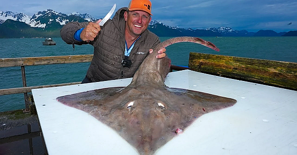 Arctic Skate {catch Clean Cook} Home-made Seafood Chowder