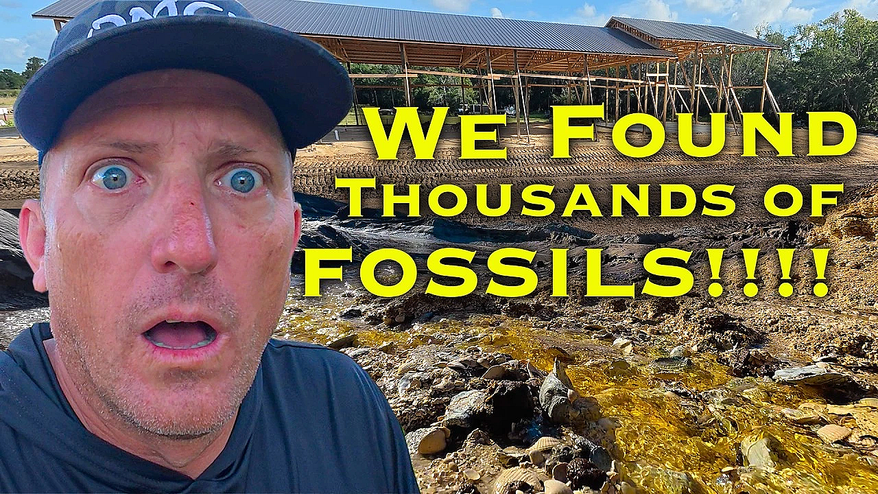 We Found FOSSILS and an UNDERWATER SPRING while Building Our New Pond! "The Sanctuary!" Ep. 7