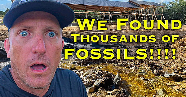 We Found FOSSILS and an UNDERWATER SPRING while Building Our New Pond! "The Sanctuary!" Ep. 7