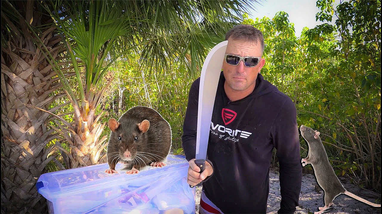 24 Hours On A Rat Infested Island!!!! {catch Clean Cook} Ft. Paul Cuffaro