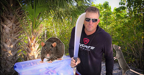 24 Hours On A Rat Infested Island!!!! {catch Clean Cook} Ft. Paul Cuffaro