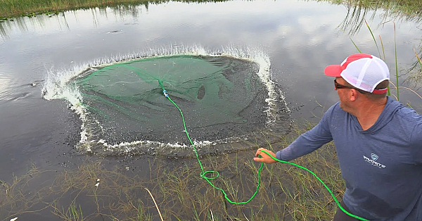 Cast Netting 1000’s Of Fish!!! {how To Castnet}