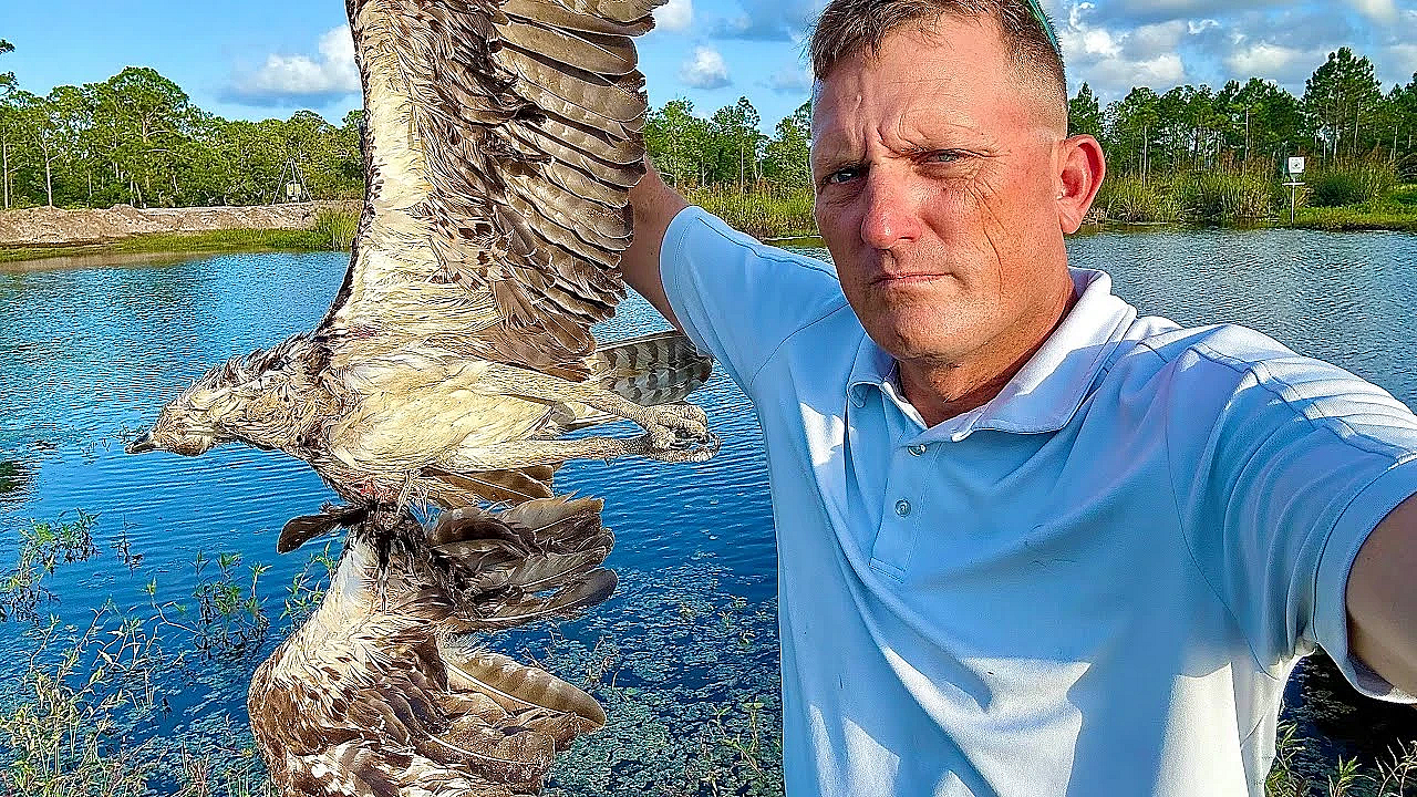 Alligators are Killing the Ospreys! {Catch Clean Cook} So, We Killed the Alligators!