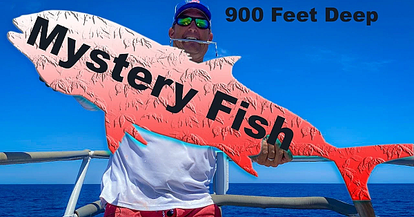 Massive Mystery Fish Caught In Super Deep Water {catch Clean Cook} Hand Crank, No Electric!