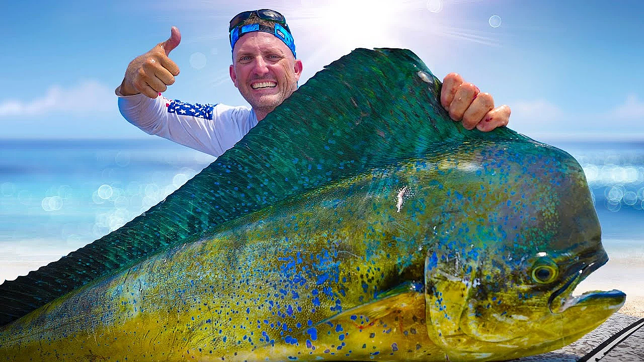 Sharks Are Becoming A Huge Problem In Florida! {catch Clean Cook} Mahi Piccata