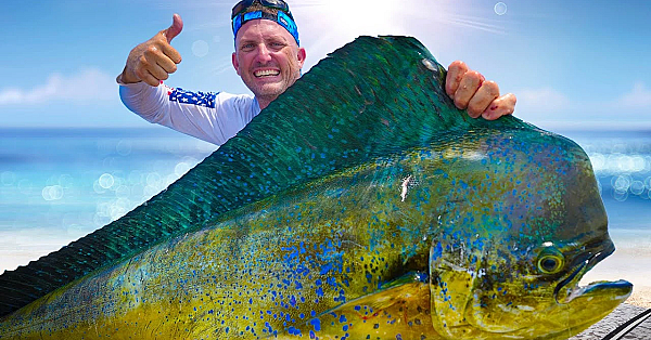 Sharks Are Becoming A Huge Problem In Florida! {catch Clean Cook} Mahi Piccata