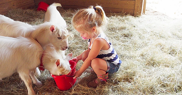 We Got Baby Goats!!!!! Plus The New House!!!