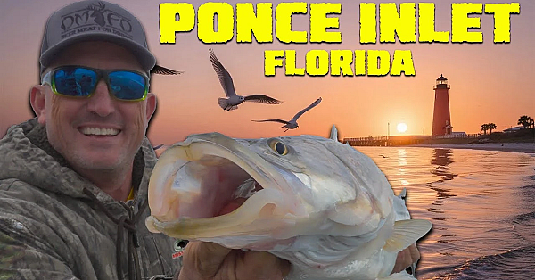 Catch, Cook And Share! {deermearfordinner} Our New Home!