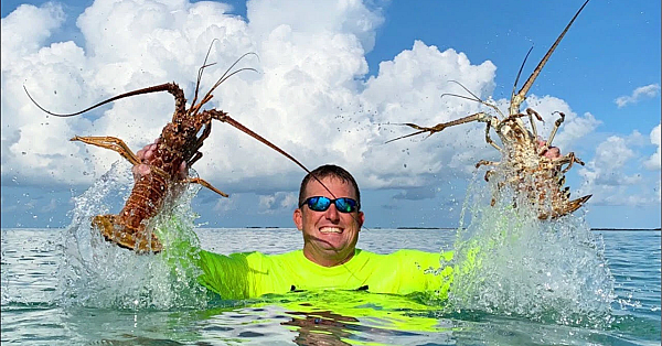 How To {catch Clean Cook} Lobsters, In Totally New Area - Florida Keys