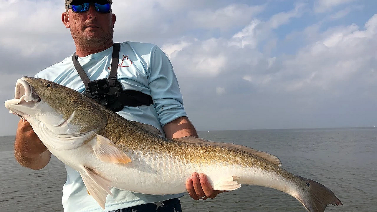 Black Drum, Redfish, Snook, Jack And Lady Fish {catch Clean Cook} A Day To Remember!!!