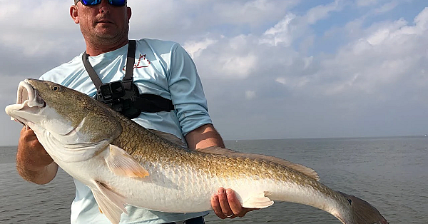Black Drum, Redfish, Snook, Jack And Lady Fish {catch Clean Cook} A Day To Remember!!!
