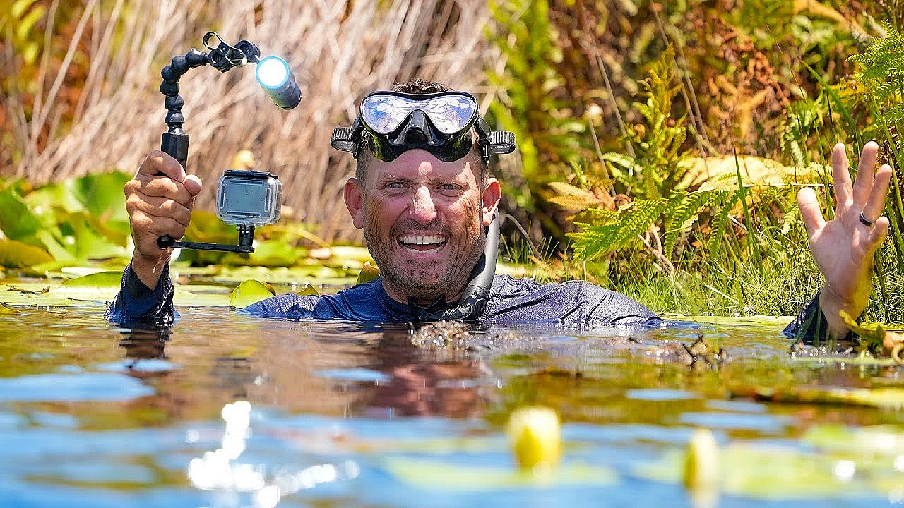 Swimming In The Sanctuary With 1,000,000's New Fish!!!