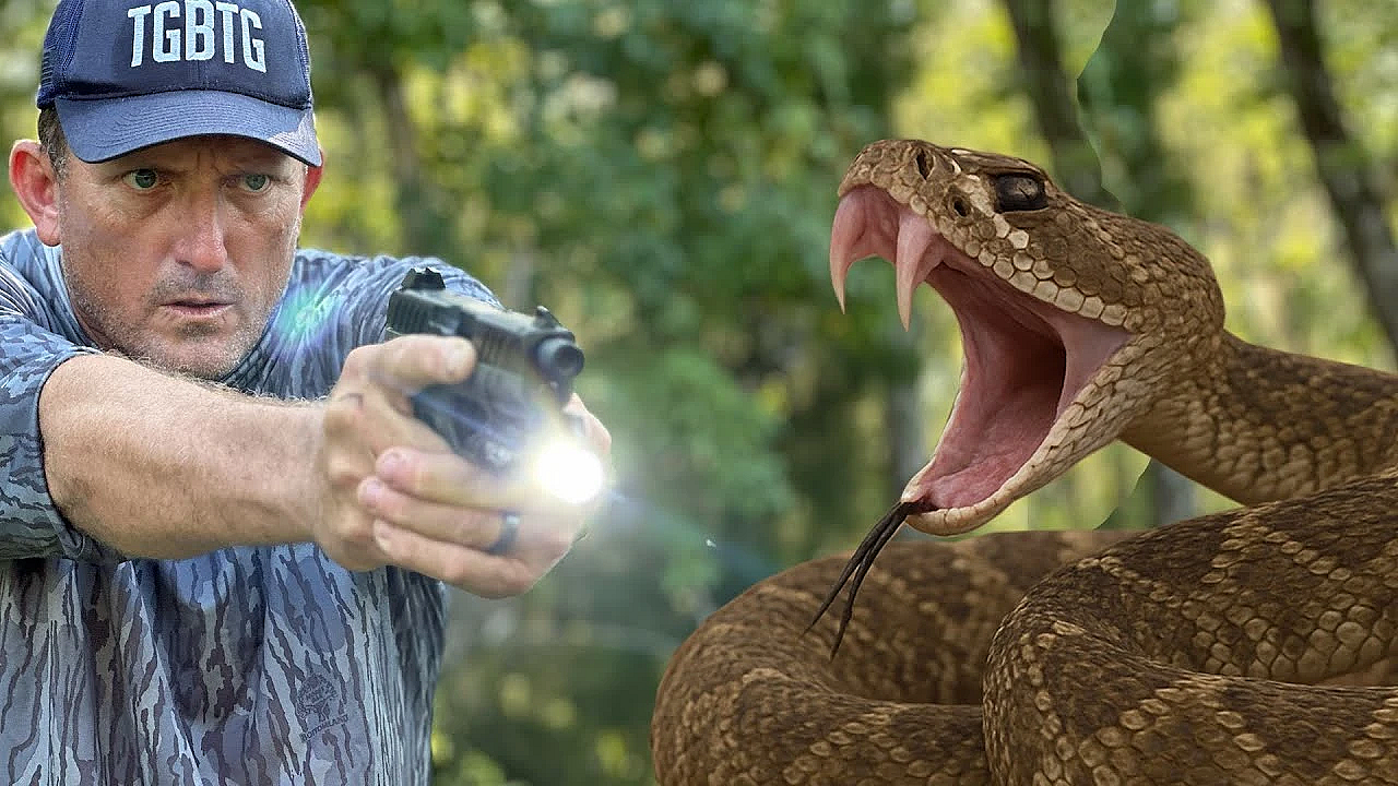 Snakes Were Everywhere!