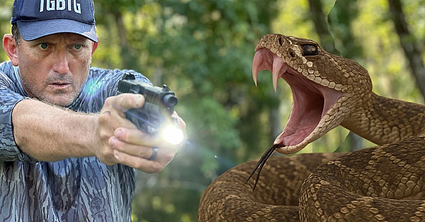 Snakes Were Everywhere!