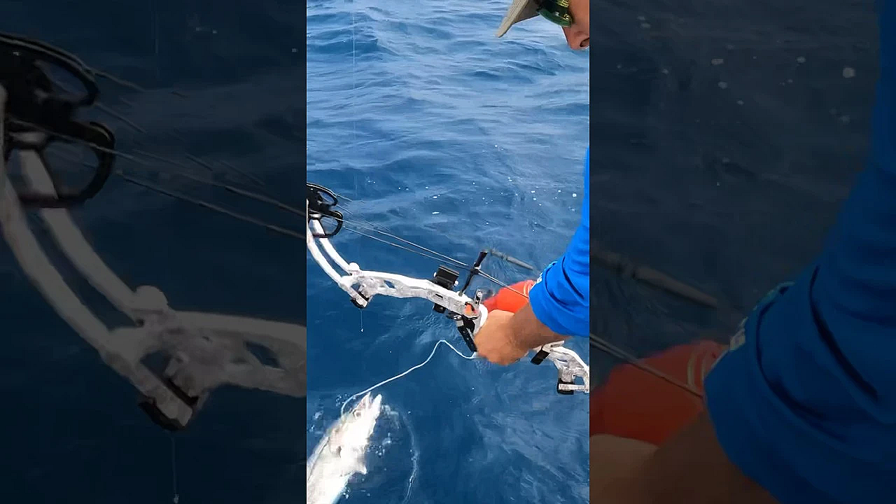 Bowfishing For Kingfish!  #cajunbowfishing