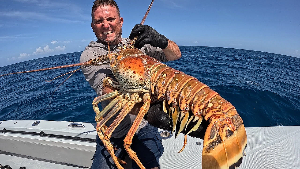 We Found The Worlds Biggest Lobster!!! {catch Clean Cook} Fans Ate It All!!!