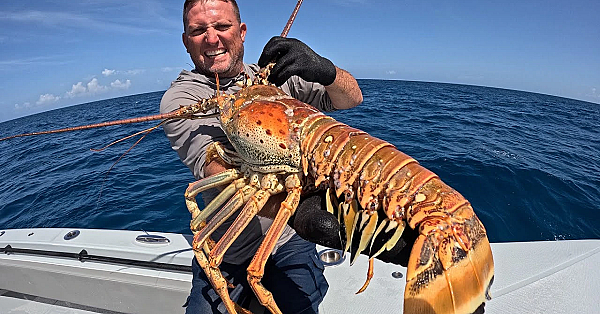 We Found The Worlds Biggest Lobster!!! {catch Clean Cook} Fans Ate It All!!!