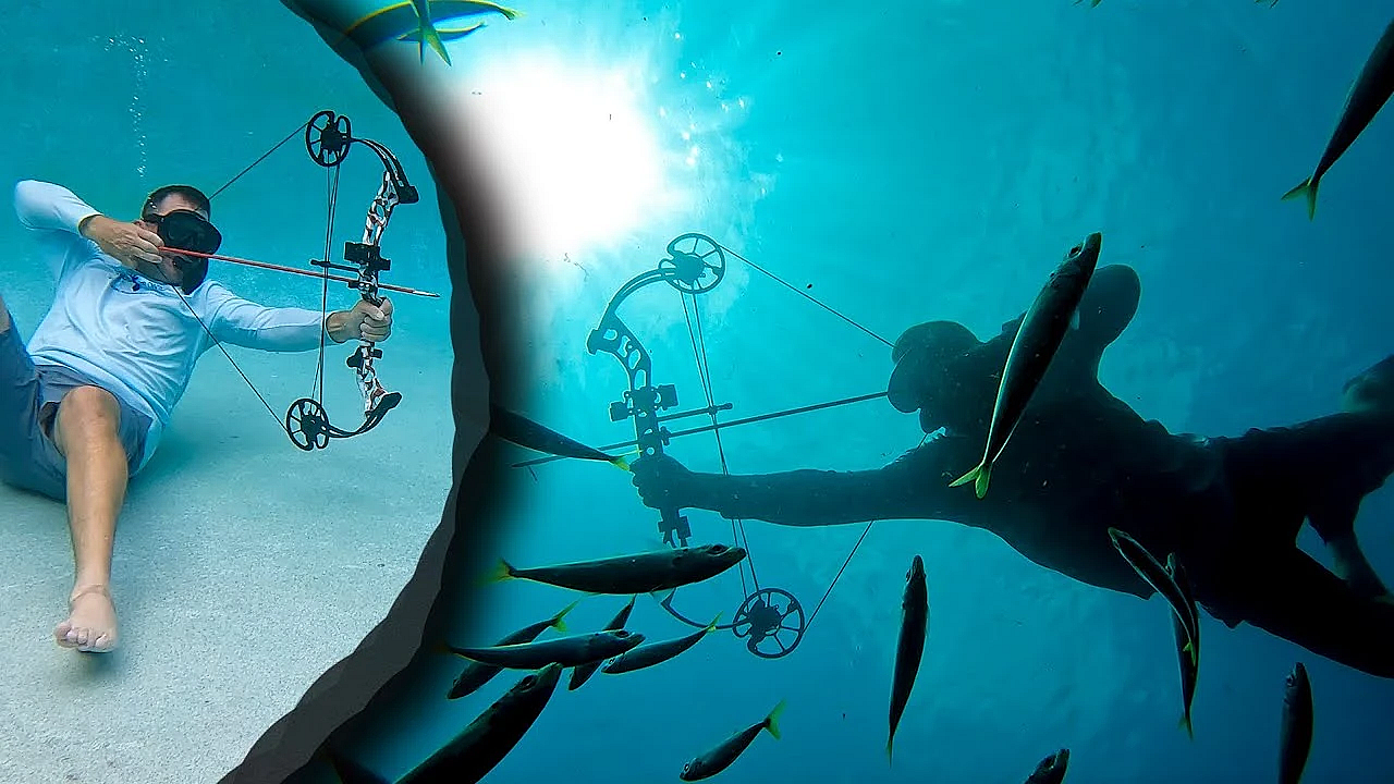 Bowfishing Underwater {will A Compound Bow Work Under-water} You’re Going To Be Shocked!