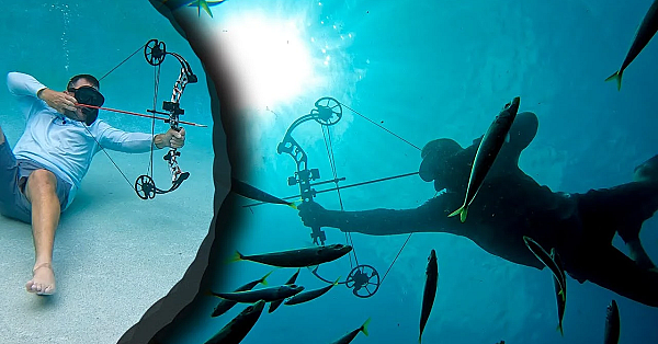 Bowfishing Underwater {will A Compound Bow Work Under-water} You’re Going To Be Shocked!