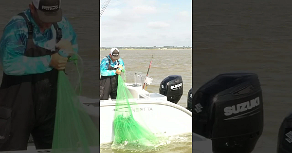 We Got Bait!!!! #shorts #viralvideo #fishing