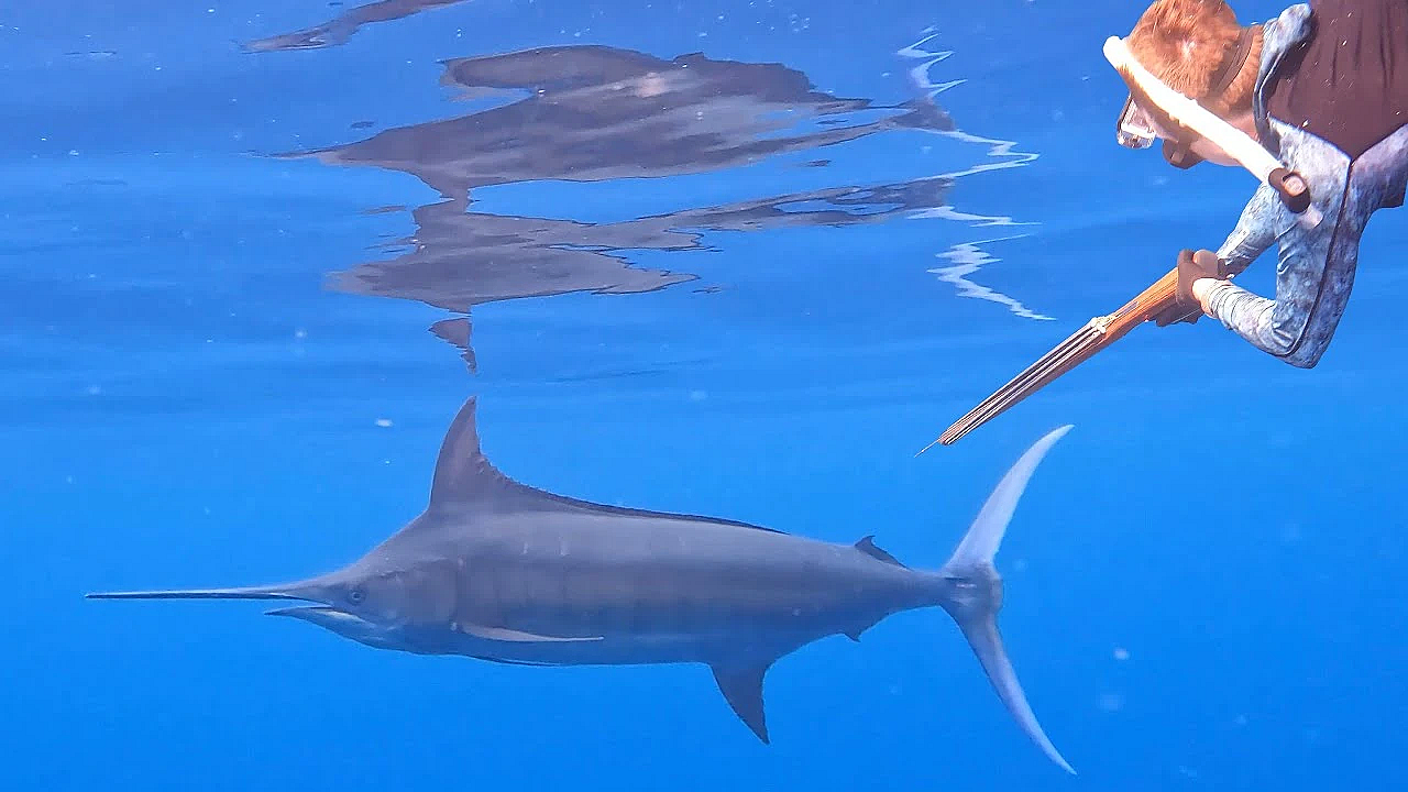 Spearfishing For Giant Tuna And Marlin! {catch Clean Cook} Feeding The Village