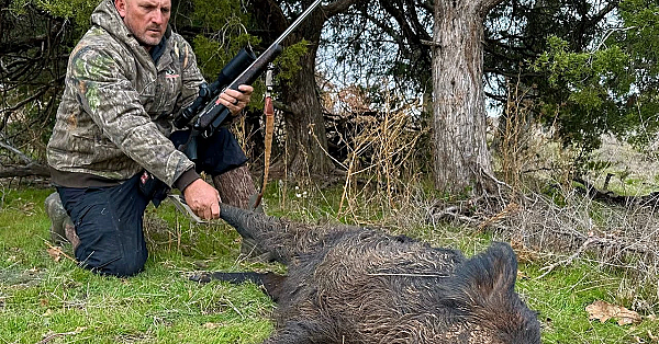 Ol' Ww! The Waterfowl Widow-maker! Hog And Duck Hunting In Oklahoma!