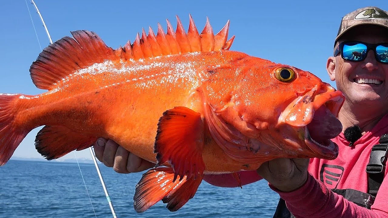 Alaskan Rockfish With My Family!! {catch Clean Cook} Fish Tacos In Millers Landing