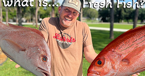 What Is Fresh Fish? {catch Clean Cook} How Long Does Seafood Stay Fresh?