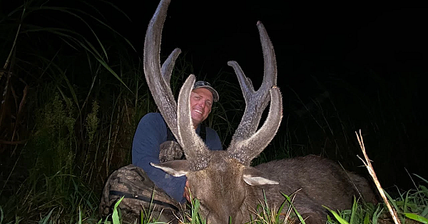 Catching Deer By Hand!!!! Releasing 4 Native Sambar Deer On Ultra Remote Pacific Island Pagan, Cnmi