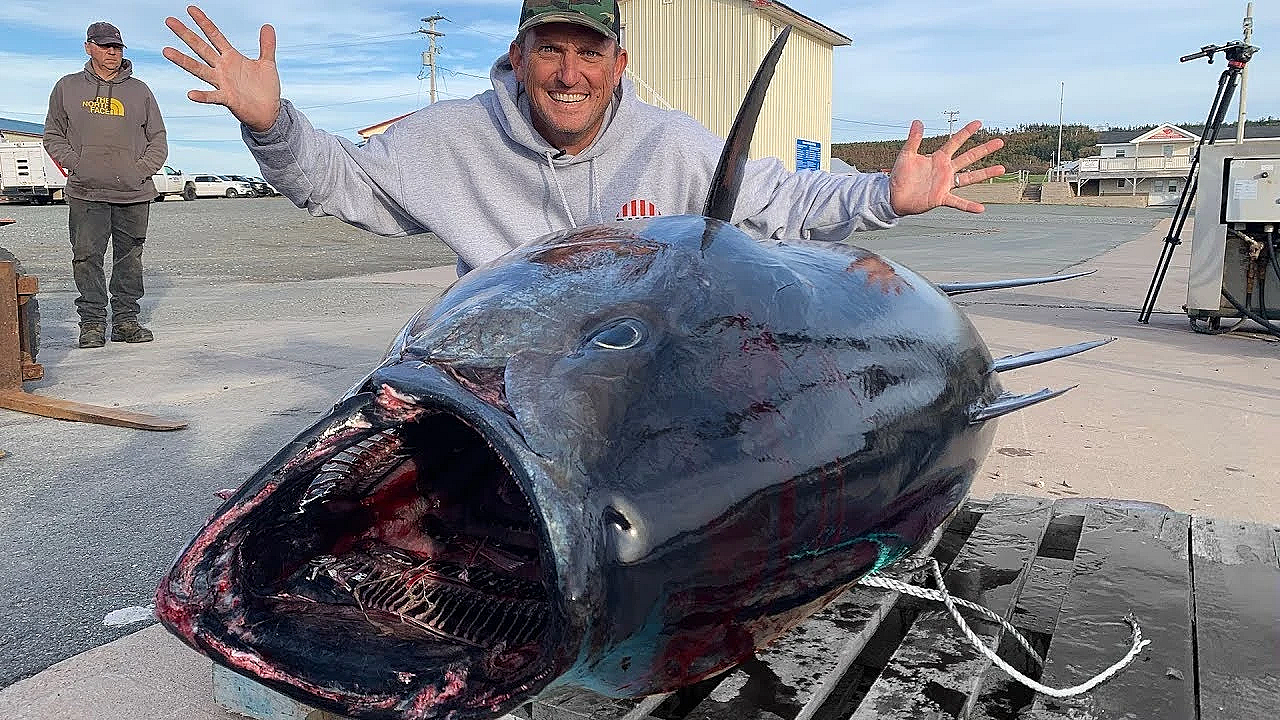 How To Catch A Giant!!! Giant Bluefin Tuna! Nova Scotia, Canada