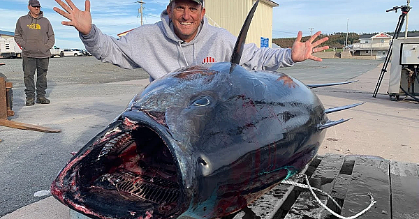 How To Catch A Giant!!! Giant Bluefin Tuna! Nova Scotia, Canada