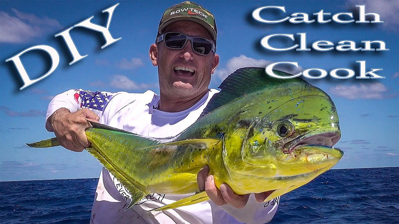 How To Catch, Clean &amp; Cook Mahi Mahi Like A Pro!!! Ringer Swivels