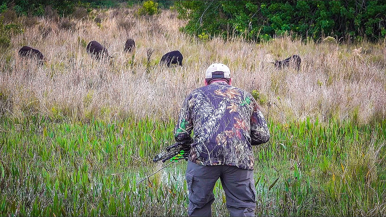 Spot N' Stalking Herds Of Wild Boar!!! {catch Clean Cook} Whole Smoked Wild Ham!