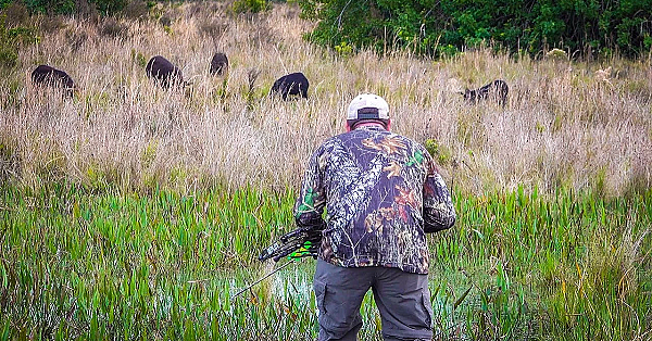 Spot N' Stalking Herds Of Wild Boar!!! {catch Clean Cook} Whole Smoked Wild Ham!