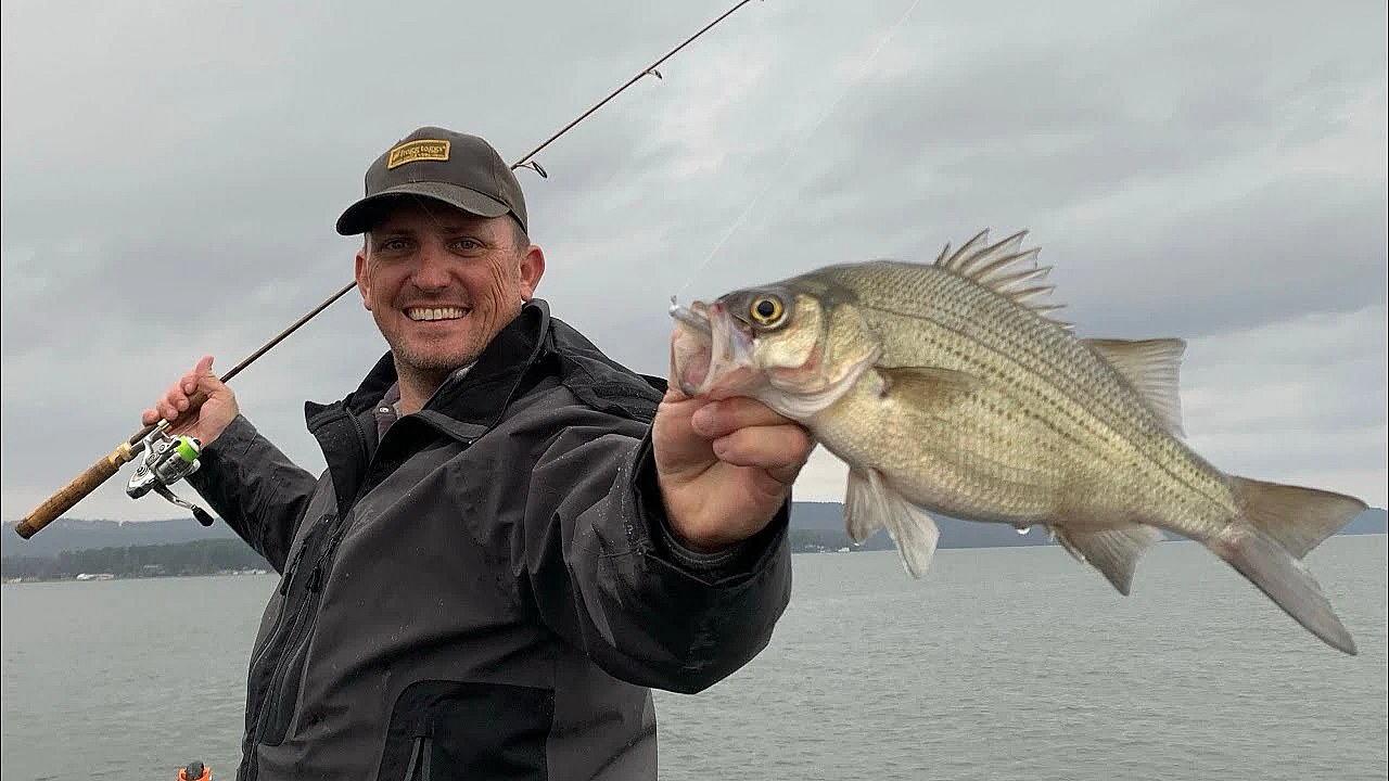 Monster White Bass On Tiny Tackle {catch Clean Cook} Ft Bluegabe &amp; Frogg Toggs
