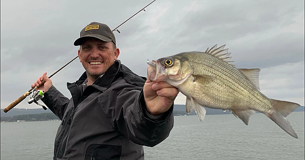 Monster White Bass On Tiny Tackle {catch Clean Cook} Ft Bluegabe &amp; Frogg Toggs
