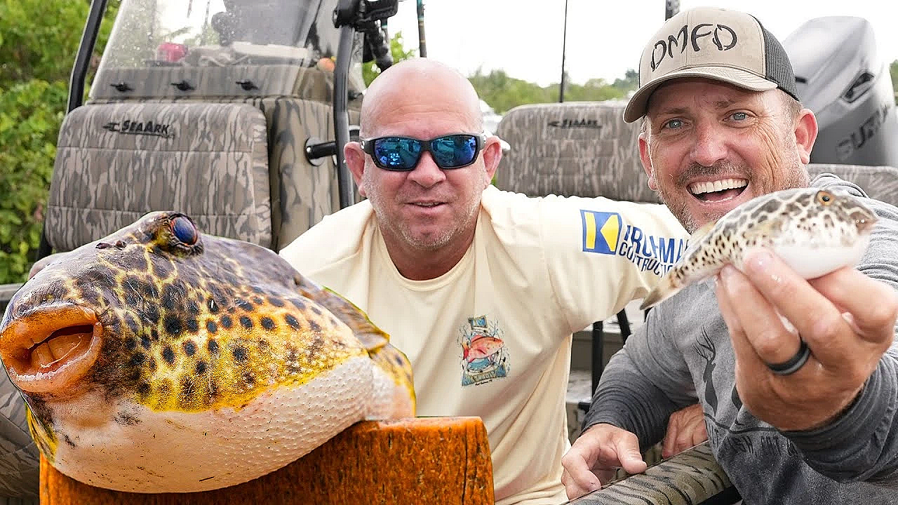 Fishing For Fugu! {catch Clean Cook} Joey's Back