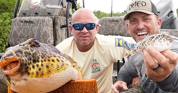 Fishing For Fugu! {catch Clean Cook} Joey's Back