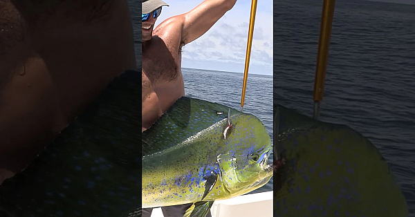 Famous Football Player Catches Huge Fish!