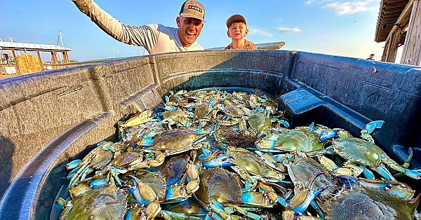 The Most Amazing Crabbing I've Ever Done! {catch Clean Cook} Florida Vs Georgia Crabs