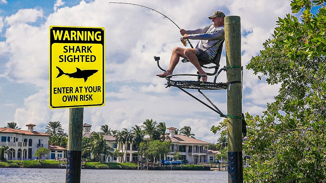 Shark Fishing From A Treestand In Front Of Million Dollar Homes!