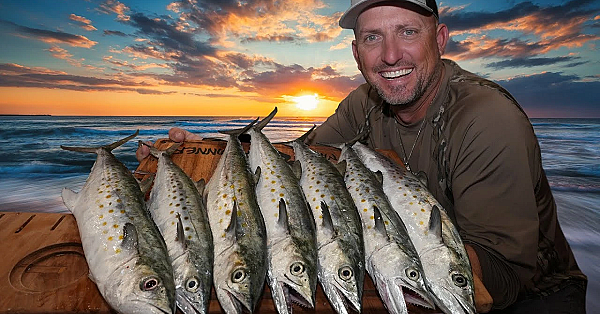 We Had So Much Fun Catching Spanish Mackerel For Dinner! {catch Clean Cook} Sashimi, Sautéed &amp; Fried